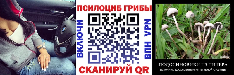 Галлюциногенные грибы MAGIC MUSHROOMS  Адыгейск 