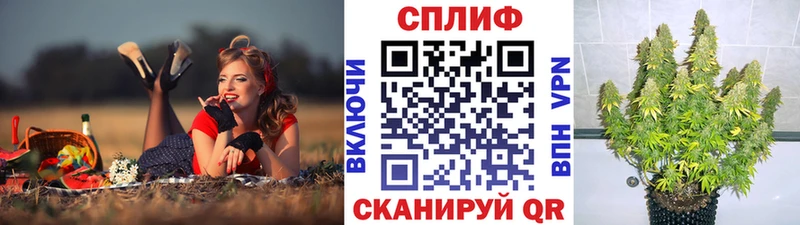 ОМГ ОМГ онион сколько стоит Адыгейск Шишки марихуана план